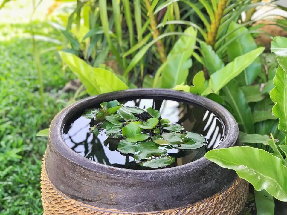 Verona Lanta Resort Ko Lanta Екстериор снимка